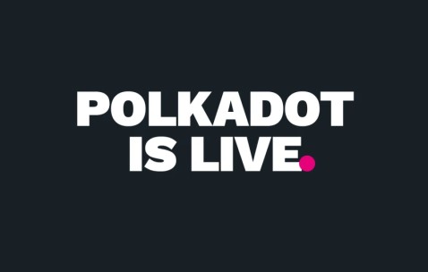 UNI正式宣布与Polkadot携手，开启元宇宙新纪元！-九游体育