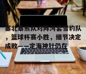 塞北暴熊队对阵河套雪豹队，篮球杯赛小胜，细节决定成败——定海神针仍在-九游网页版直接进入