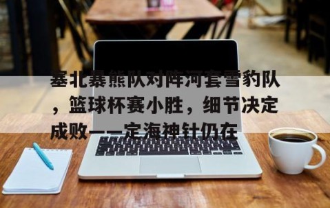 塞北暴熊队对阵河套雪豹队，篮球杯赛小胜，细节决定成败——定海神针仍在-九游网页版直接进入