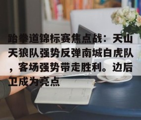 关于跆拳道锦标赛焦点战：天山天狼队强势反弹南城白虎队，客场强势带走胜利。边后卫成为亮点的信息-九游网页官网入口
