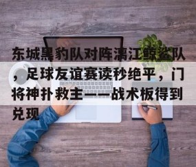 东城黑豹队对阵漓江鲸鲨队，足球友谊赛读秒绝平，门将神扑救主——战术板得到兑现的简单介绍-九游娱乐