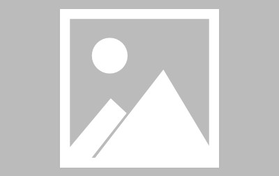 Polkadot遭遇大幅下滑超243%，投资者恐慌性抛售-九游网页官网入口