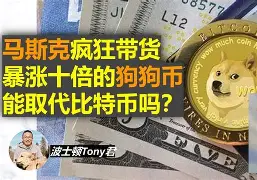 狗狗币投资陷阱遭曝光，已有超16.46人被骗！