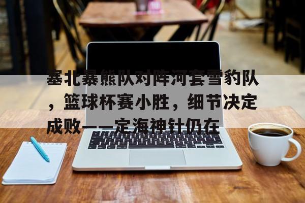 塞北暴熊队对阵河套雪豹队，篮球杯赛小胜，细节决定成败——定海神针仍在